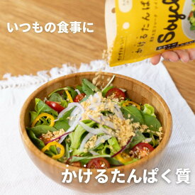 【ふるさと納税】【福岡市】Soycle 発芽大豆フレーク 70g×7袋