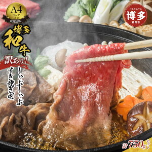 yӂ邳Ɣ[Łzy󂠂za A4Nȏ Ԃ ĂpZbg 750g | ӂ邳Ɣ[  XCX ؂藎Ƃ [X o   o ӂ邳Ɣ[  Ă 