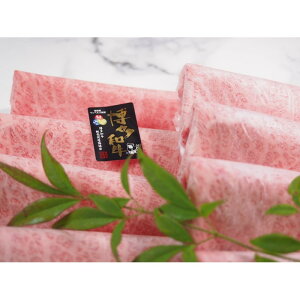 yӂ邳Ɣ[Łza[X@ĂԂԗp600g