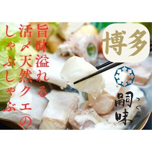 【ふるさと納税】博多 嗣味 活〆天然クエのしゃぶしゃぶ 2〜3人前