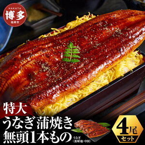 yӂ邳Ɣ[Łz傤ȂĂ1{4Zbg siYj | V  Y Hi lC  