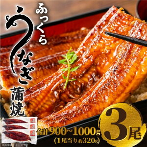 【ふるさと納税】ふっくら大判うなぎ蒲焼 計約960g(約320g×3尾)