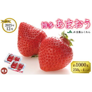 yӂ邳Ɣ[Łzyʌz2025N12܂250g×4