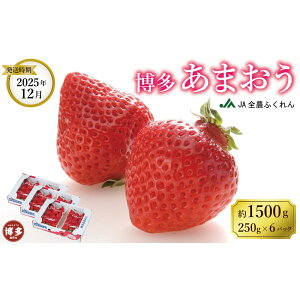 yӂ邳Ɣ[Łzyʌz2025N12܂250g×6