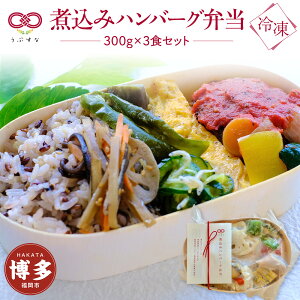 【ふるさと納税】【冷凍】煮込みハンバーグ弁当3食セット 無添加 無農薬米 有機・特別栽培野菜 九州 福岡 国産食材 | 食品 加工食品 人気 おすすめ 送料無料