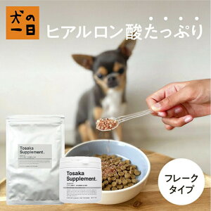 yӂ邳Ɣ[ŁzsyY ̂zyɁI̔畆щɊIqA_ƂTv