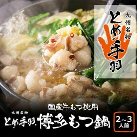 【ふるさと納税】九州名物とめ手羽　博多もつ鍋セット　味噌味　2-3人前【冷凍配送】 | 福岡県 福岡市 もつ鍋 もつなべ お取り寄せグルメ もつ鍋セット 鍋セット 鍋 なべ 福岡 グルメ お土産 博多 九州 モツ 冷凍 ご当地グルメ ギフト プレゼント 冷凍食品 冷食 ホルモン