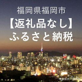 【ふるさと納税】福岡県福岡市への寄付（返礼品はありません） | 福岡県 福岡市 福岡 九州 楽天ふるさと 納税 返礼品無し 返礼品なし 支援 寄附 観光地応援 文化 ワンストップ ワンストップ特例 健康 環境 スポーツ 伝統工芸 農業 高齢者 介護 教育 子供 子ども こども