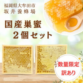 【ふるさと納税】訳あり　国産巣蜜(コムハニー) 2個セット_ 巣蜜 コムハニー はちみつ 蜂蜜 訳あり 国産 甘味料 美味しい 人気 送料無料【1158703】