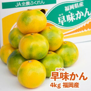 yӂ邳Ɣ[ŁzIWiuh@ 4kg(喴cs)yzsnFzy1217262z