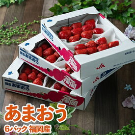 【ふるさと納税】【11月下旬より順次発送】酸味と甘みの絶妙なバランス・冬あまおう6パック(大牟田市)【配送不可地域：離島・北海道・沖縄県】【1226662】