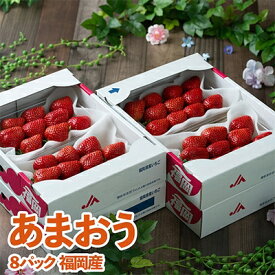 【ふるさと納税】【11月下旬より順次発送】酸味と甘みの絶妙なバランス・冬あまおう8パック(大牟田市)【配送不可地域：離島・北海道・沖縄県】【1226664】