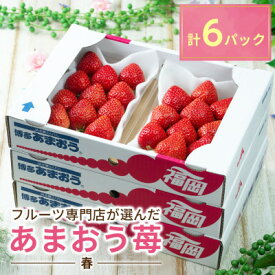【ふるさと納税】【2026年発送先行予約】酸味と甘みの絶妙なバランス・春あまおう6パック(大牟田市)【配送不可地域：離島・北海道・沖縄県】【1226670】