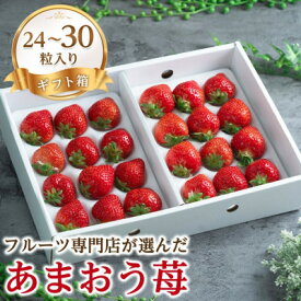 【ふるさと納税】【11月下旬より順次発送】苺本来の酸味と甘み!贈答用あまおう 24-30粒(大牟田市)【配送不可地域：離島・北海道・沖縄県】【1226680】
