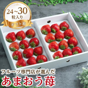 yӂ邳Ɣ[Łzy11{菇z䕖{̎_ƊÂ!p܂ 24-30(喴cs)yzsnFEkCEꌧzy1226680z