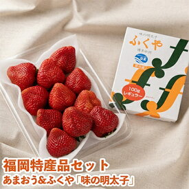 【ふるさと納税】【11月下旬より順次発送】福岡産あまおう&ふくや味の明太子100g(大牟田市)【配送不可地域：離島・北海道・沖縄県】【1226684】