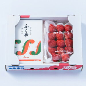 yӂ邳Ɣ[Łzy11{菇zY܂&ӂ□̖q()(喴cs)yzsnFEkCEꌧzy1226686z
