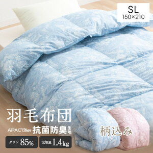 yӂ邳Ɣ[ŁzHъ|zc VO Hї1.4kg FA܂y1282781z