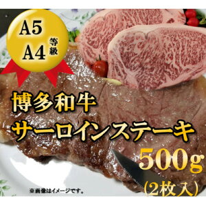 yӂ邳Ɣ[ŁzyA5A4gpzaT[CXe[Lp500g(2)(喴cs)yzsnFzy1288269z