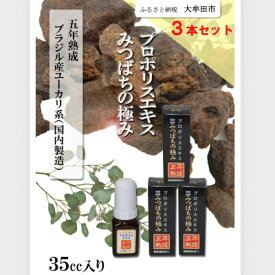 【ふるさと納税】プロポリスエキスみつばちの極み　35cc×3本セット　5年熟成【1445877】