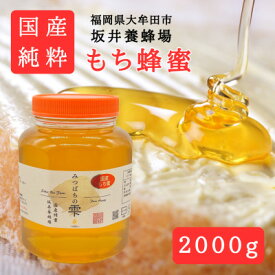 【ふるさと納税】みつばちの雫　国産もち蜂蜜　2000g【1481084】