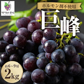 【ふるさと納税】福岡県産　巨峰　2kg(野口農場)【配送不可地域：離島】【1526875】