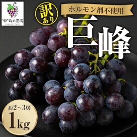 【ふるさと納税】福岡県産　巨峰　1kg(野口農場)【配送不可地域：離島】【1529095】