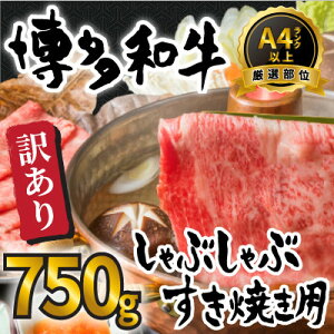 yӂ邳Ɣ[Łz󂠂!aԂԂĂ750gZbg(喴cs)yzsnFzy1560494z