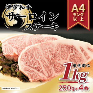 yӂ邳Ɣ[ŁzyA4`A5zaT[CXe[LZbg@1kg(250g×4)(喴cs)yzsnFzy1560558z