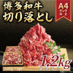 yӂ邳Ɣ[Łz󂠂!yA4`A5za؂藎Ƃ@1.2kg(600g×2p)(喴cs)yzsnFzy1560562z