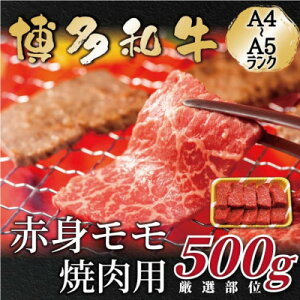 yӂ邳Ɣ[ŁzyA4`A5zaԐgēp@500g(喴cs)yzsnFzy1560694z