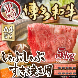 yӂ邳Ɣ[Łz󂠂!yA4`A5zaԂԂĂp([XEoE)5kg(喴cs)yzsnFzy1560973z