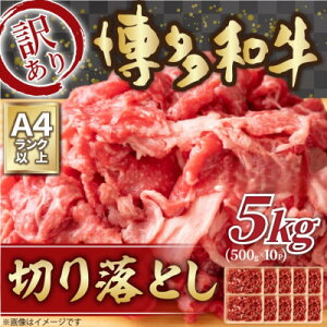 yӂ邳Ɣ[Łz󂠂!yA4`A5za؂藎Ƃ@5kg(500g×10p)(喴cs)yzsnFzy1560980z
