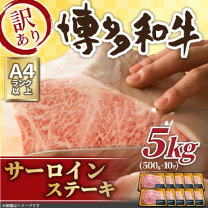 yӂ邳Ɣ[Łz󂠂!yA4`A5zaT[CXe[LZbg@5kg(250g2×10p)(喴cs)yzsnFzy1560984z