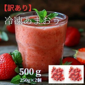 【ふるさと納税】福岡県産 冷凍あまおう 500g(250g×2個)(大牟田市)【配送不可地域：離島】【1606730】