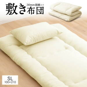 yӂ邳Ɣ[Łz喴csY @~zc VOO Ŗȓ2.8kg 100×210cm AC{[y1622310z