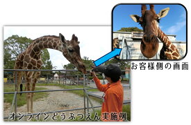 【ふるさと納税】大牟田市動物園をひとりじめ！　完全プライベート動物園オンラインツアー！