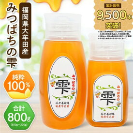 【ふるさと納税】坂井養蜂場 みつばちの雫 500g+300g(合計800g)国産蜂蜜_ 蜂蜜 国産 はちみつ 坂井養蜂場 天然 甘味料 美味しい 人気 送料無料【1254446】