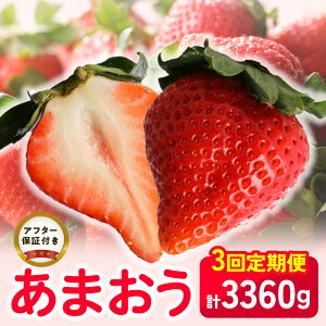 yӂ邳Ɣ[ŁzyցzY ܂ 2 3 4 3񂨓͂ 1,120g 280g × 4pbN v 3,360g  uh ʕ AW  َq 䕃^g NbL[ t[c XC[c 