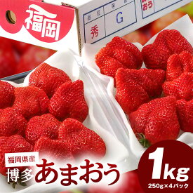 【ふるさと納税】【先行予約】福岡県産 博多あまおう 1kg（250g×4パック）