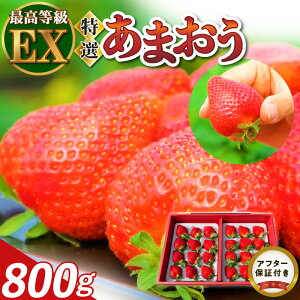 yӂ邳Ɣ[Łz̍ō ܂ I 800g ̂ꂽ  ō GNZg ō O[h 傫 Ԃ  ̕ ʍ͔| HׂC`S  vĎs t[c 