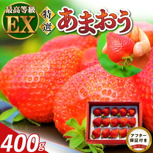 yӂ邳Ɣ[Łzʌ I ܂ 400g ʍ͔|  GNZg EX F_ 傫 邤_  vĎs ̂ꂽ _ƒ t[c ʕ ① p ꗱ Jȍ 