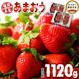 yӂ邳Ɣ[Łz  ܂  280g × 4 pbN v 1120g  Y vĎs t[c ʕ ʏ` r^~C LVg[ JE H@ h{ ח\h A`GCWO XC