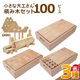 【ふるさと納税】自然素材 積み木 100ピース 小さな大工さん 成長期 知育 玩具 想像力 創造性 収納箱 遊び方 無限大 自由 安心安全 無塗装 無着色 木遊び おもちゃ 木材 ドミノ セット 子ども 誕生日 プレゼント 出産祝い お取り寄せ 福岡県 久留米市 送料無料