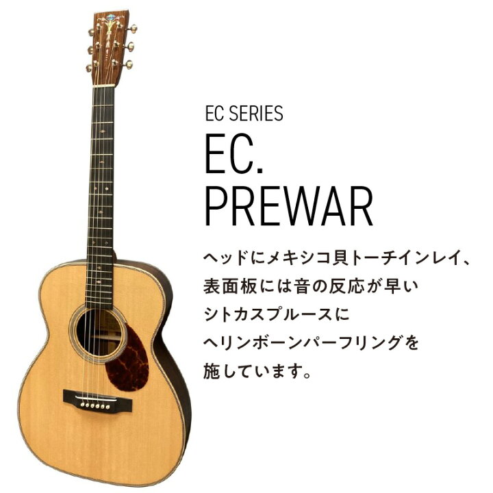 楽天市場】【ふるさと納税】アコースティックギター アストリアス EC 