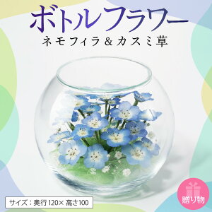yӂ邳Ɣ[Łz{gt[ ltB JX~ s120×100 hCt[ KXe CeA G Ϗܗp  t[ AWg Mtg 蕨 v[g  v