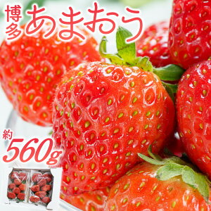 【ふるさと納税】いちご あまおう 約280g 以上 × 2パック 約560g 大粒 果物 フルーツ みずみずしい ジューシー 甘み 酸味 濃厚 ストロベリー パフェ ショートケーキ パンケーキ スムージー サン