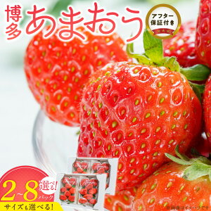 yӂ邳Ɣ[Łz ܂ Iׂ e  嗱 2 ` 8pbN F_ ʕ t[c ݂݂ W[V[ Ö _ Z Xgx[ ptF V[gP[L pP[L