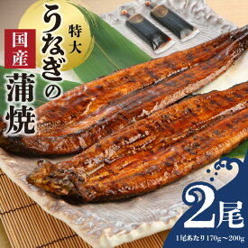 【ふるさと納税】うなぎ 蒲焼 2尾 セット 特大サイズ 一尾170g〜200g たれ付き 鰻専門問屋 樋口商店 鹿児島 宮崎 国産 ジャポニカ種 真空パック ギフト お取り寄せ グルメ うな丼 うな重 ひつまぶし お土産 手土産 贈り物 プレゼント お中元 職人 送料無料