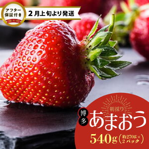 yӂ邳Ɣ[Łzy2{菇z   ܂ _ƒ  270g × 3pbN ̂ VN  X[W[ W[X pP[L ^g ʕ t[c fU[g  X